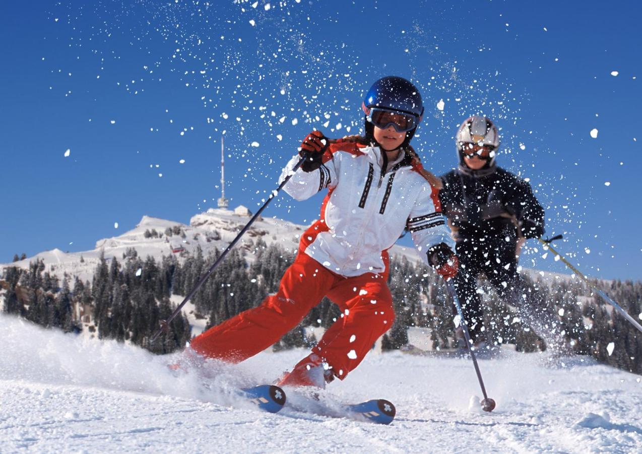 Chalet Bergli Rigi Kaltbad Eksteriør billede