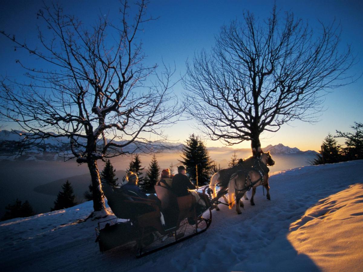 Chalet Bergli Rigi Kaltbad Eksteriør billede